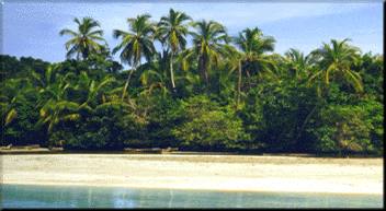 Costa Rican Beach