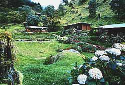 Trogon Lodge in San Gerardo de Dota